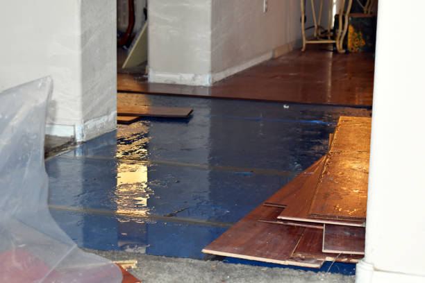 Professional Water Damage technician working in Plainfield, WI